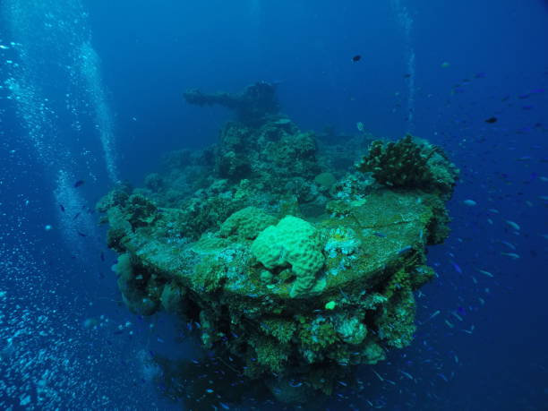 Famous wreck ship Fujikawa maru in Truk lagoon