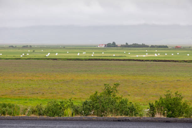 Farming landscape on a rainy day at Varmahild in western Iceland