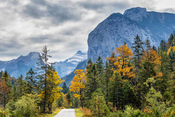 istock Maple trees at Ahornboden, Karwendel mountains, Tyrol, Austria 1268196074