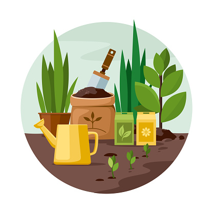 Gardening Tools and Plants in the garden. Vector Illustration