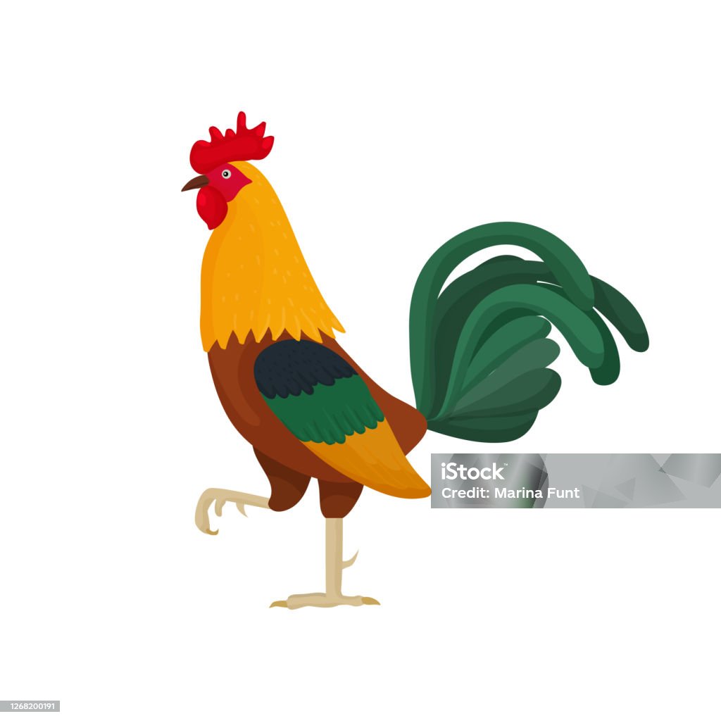 Vector Illustration Of A Rooster In Cartoon Style With Green