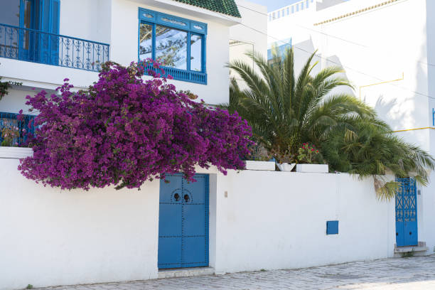 istock Sidi Bou Said , Tunisia 1268201553