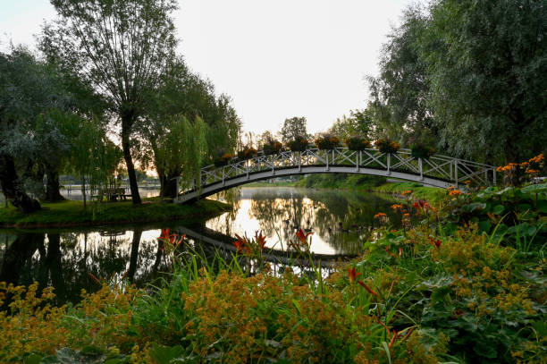 istock wooden bridge over water in beautiful park 1268203141