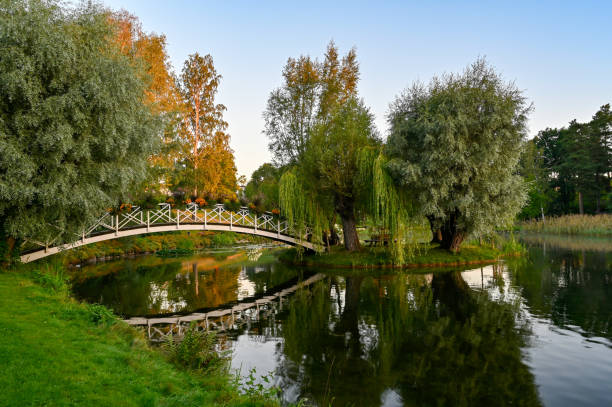 istock wooden bridge over water in beautiful park 1268203145