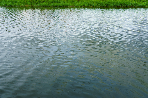 Small waves of water surface in the pond