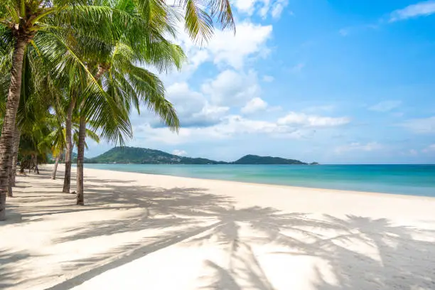 Photo of Phuket Thailand. View of landscape beach sea sand in summer sun