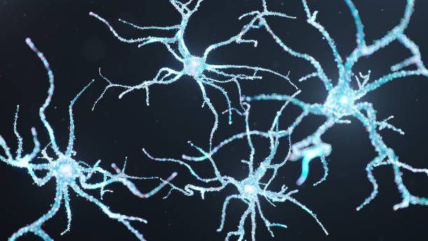 istock Abstract neural cells with luminous dots. Synapses and neuronal cells send electrical chemical signals. Neuron of interconnected neurons with electrical impulses. Transmit information, 3d illustration 1268208466