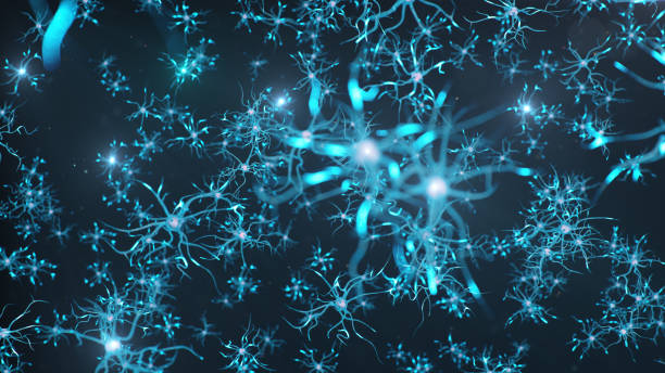 istock Conceptual illustration of neuron cells send an electrical charge for transmit information. Brain research. Interconnected neurons. Neurons between themselves send electric impulse, 3d illustration 1268208472