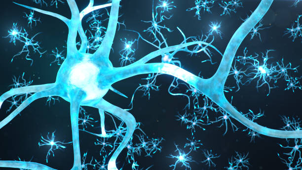 istock Conceptual illustration of neuron cells send an electrical charge for transmit information. Brain research. Interconnected neurons. Neurons between themselves send electric impulse, 3d illustration 1268208474