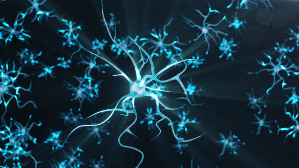 istock Conceptual illustration of neuron cells send an electrical charge for transmit information. Brain research. Interconnected neurons. Neurons between themselves send electric impulse, 3d illustration 1268208476