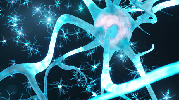 istock Abstract neural cells. Synapses and neuronal cells send electrical chemical signals. Transmission information. Neuron of Interconnected neurons with electrical pulses, 3d illustration 1268208481