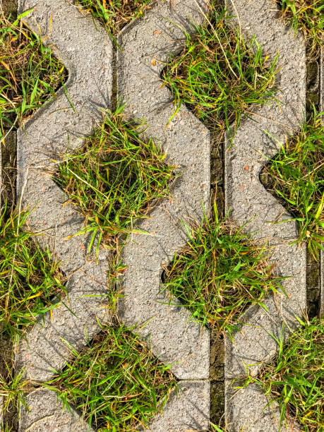 istock Geometric background eco-floor bricks and green grass 1268215933