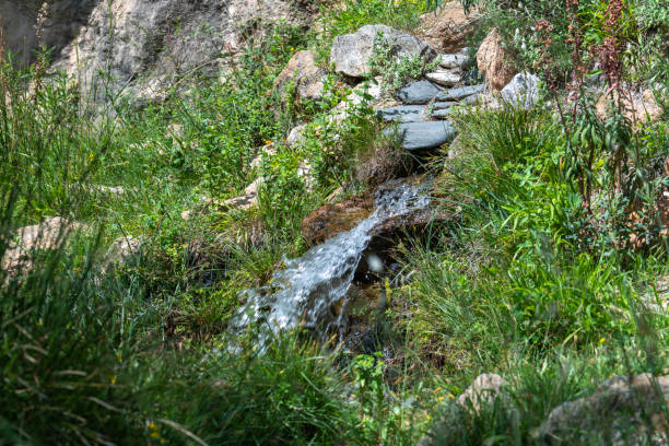istock water fountain in the field 1268217619