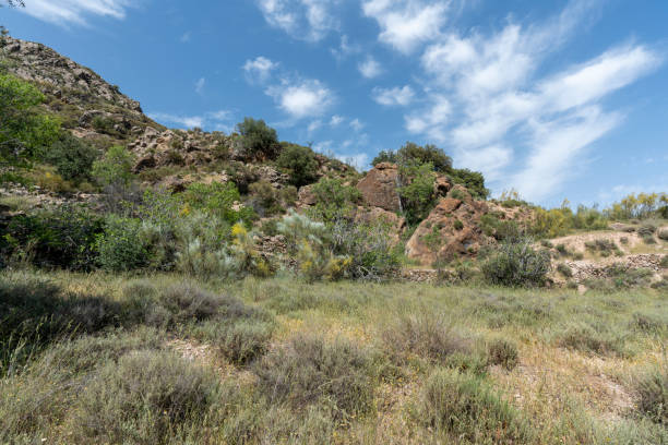 istock Mountainous area in southern Spain 1268220084