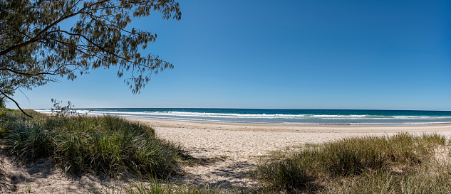 sitting on the dunes at Wooyung along the east Australian coastline overlooking the surf, sun and sand.