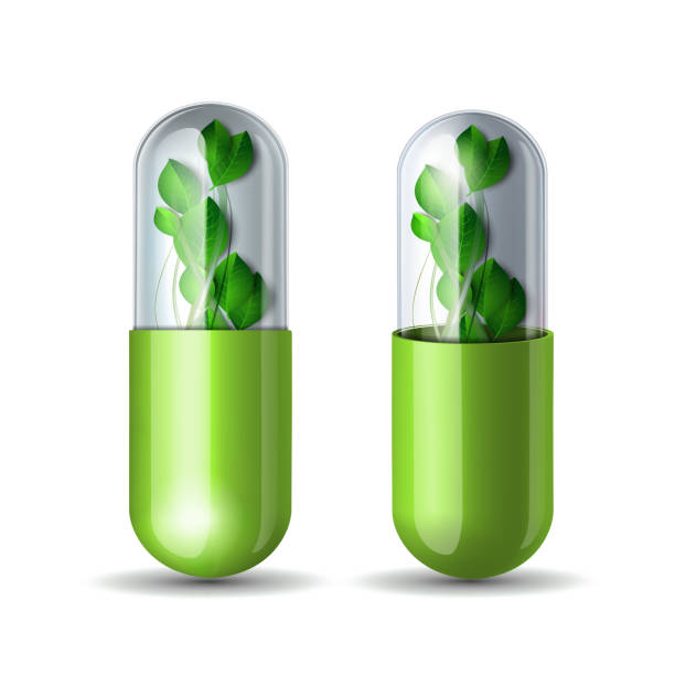 zielona naturalna pigułka medyczna z zielonymi liśćmi. farmaceutyczny symbol wektorowy z liśćmi dla apteki - capsule pill vitamin pill herbal medicine stock illustrations