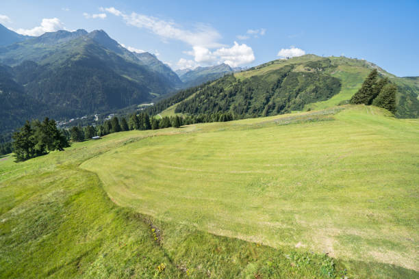 istock Idyllic summer landscape in the Alps 1268226101