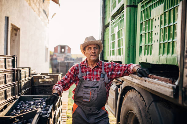 Portrait of an older farmer