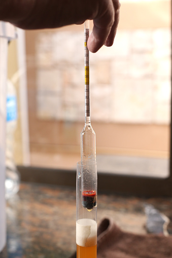 Measuring the alcohol content with a Hydrometer in a glass tube of beer.
