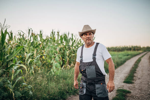 istock An older farmer in an agricultural field 1268227994