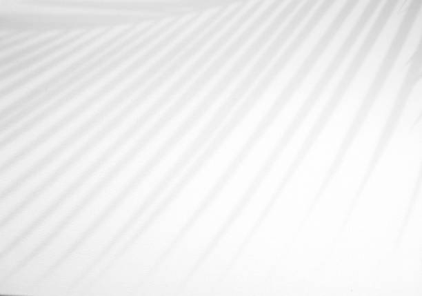 istock Realistic and organic tropical leaves natural shadow overlay effect on white texture background, for overlay on product presentation, backdrop and mockup 1268229029