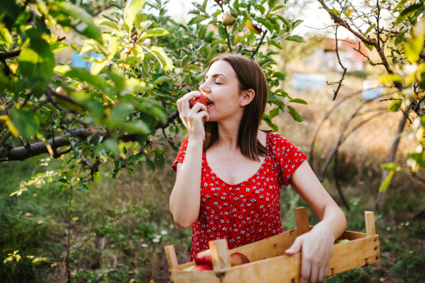 istock A young woman in an apple orchard 1268238800