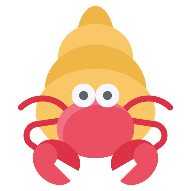 Hermit crab icon, Summer vacation related vector Hermit crab icon, Summer vacation related vector illustration hermit crab stock illustrations