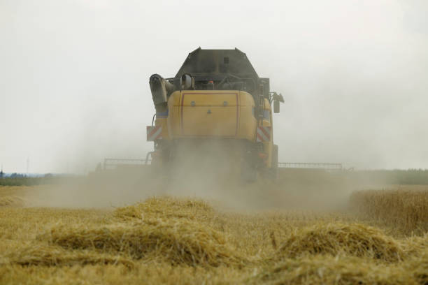 istock combine harvester in a field 1268246352