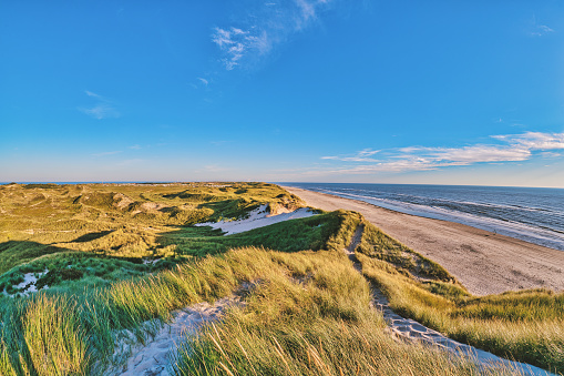 View over the natural dunes and dune landscape in beautiful Denmark.