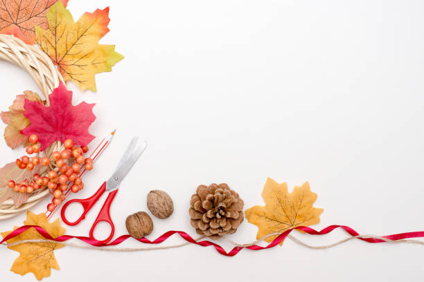 istock Autumn handmade: dried leaves and flowers, pine cone and plants on white background. Top view. Flat lay. copy space 1268249559