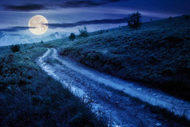 istock mountain road through grassy meadow at night 1268250671