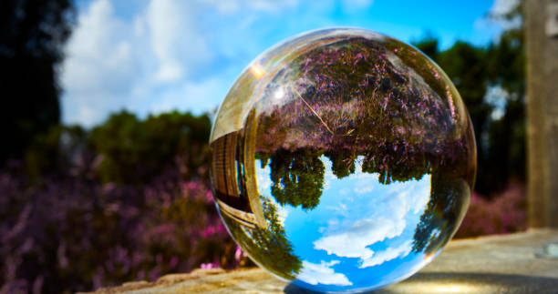 istock View of the blooming heath through a crystal ball 1268251264