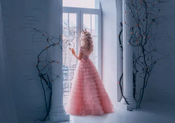 Photo of Fairy tale woman princess turned away enjoy view from window. Beautiful carnival pink air tulle, lush full gown. Blond long wavy hair royal crown back, rear view. white antique columns black tree room