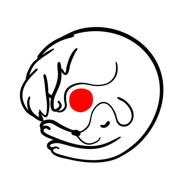 My Image 24