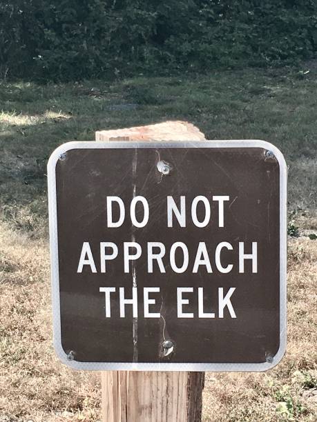 istock do not approach the elk - sign 1268252374