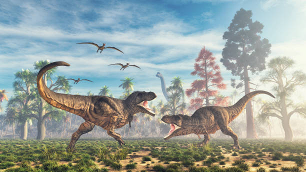 istock T rex fight in the valley . This is a 3d render illustration 1268254991