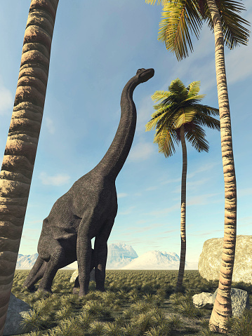 Brachiosaurus in the jungle looking at a palm tree. This is a 3d render illustration.