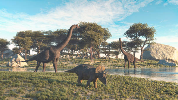 brachiosaurus i triceratops w dolinie nad jeziorem . jest to ilustracja renderowania 3d . - era prehistoryczna zdjęcia i obrazy z banku zdjęć