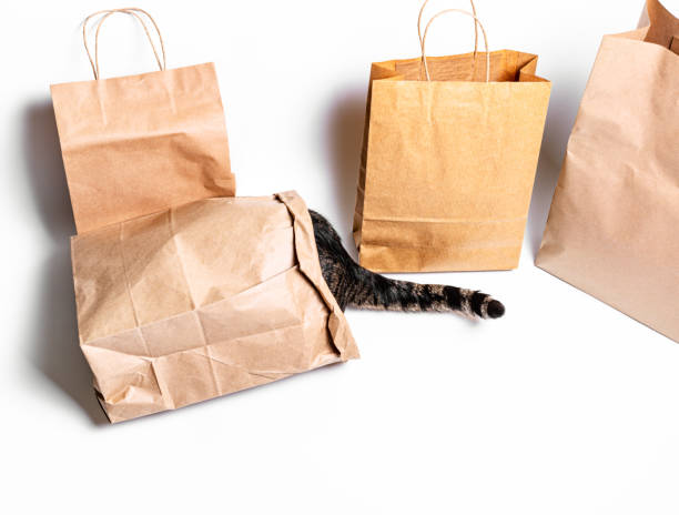 istock The cat climbed into a craft bag on a white background. 1268258461