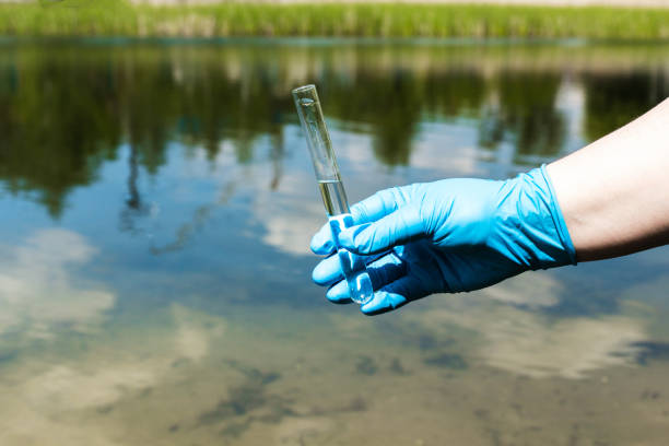 istock he concept of ecology, environmental pollution 1268258503