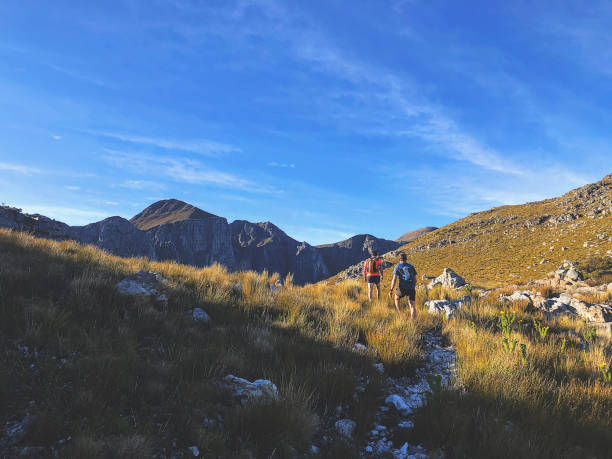 istock Trail running on top of a mountain 1268259408