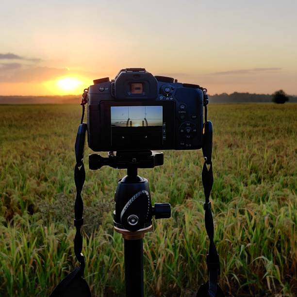 istock Taking pictures in the morning 1268259585