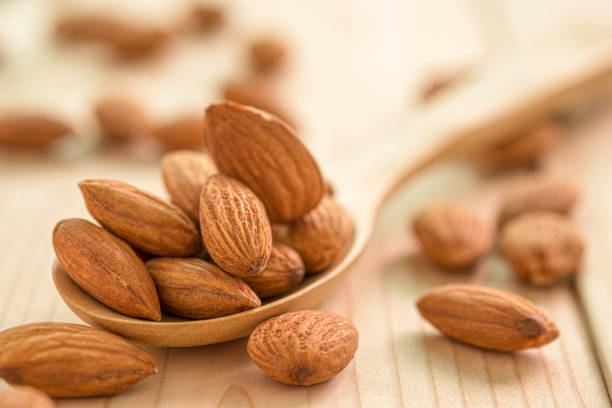 plan rapproché des graines fraîches d’amandes brunes dans la cuillère en bois sur la table en bois. - protein colors macro horizontal photos et images de collection