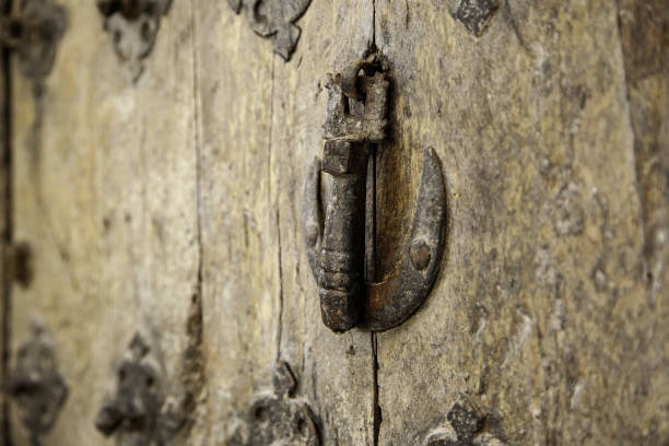 античный бронзовый дверной стук - door knocker door lion luxury стоковые фото и изображения
