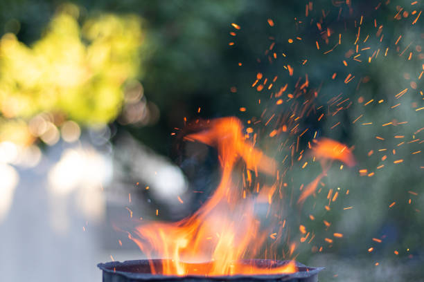 istock Flames and sparks in nature 1268262336