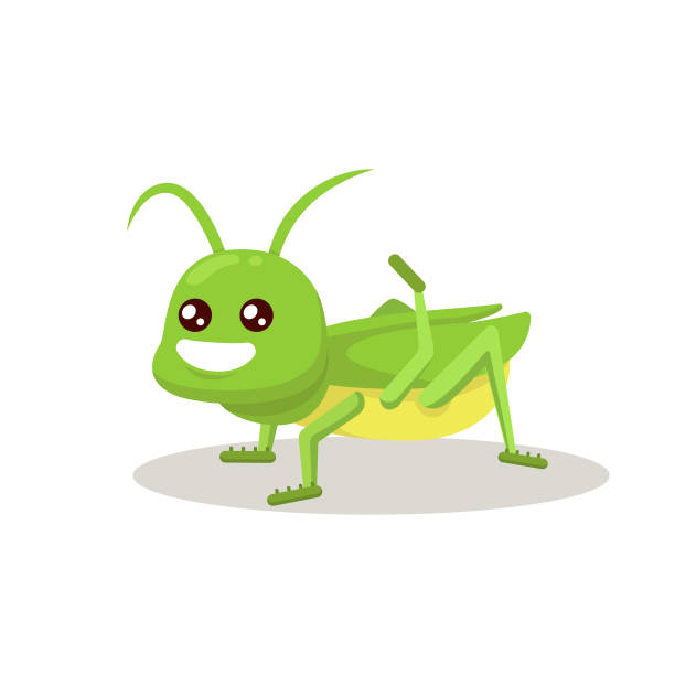 ilustrações, clipart, desenhos animados e ícones de ilustração de design de inseto mascote fofo de gafanhoto - cricket locust grasshopper insect