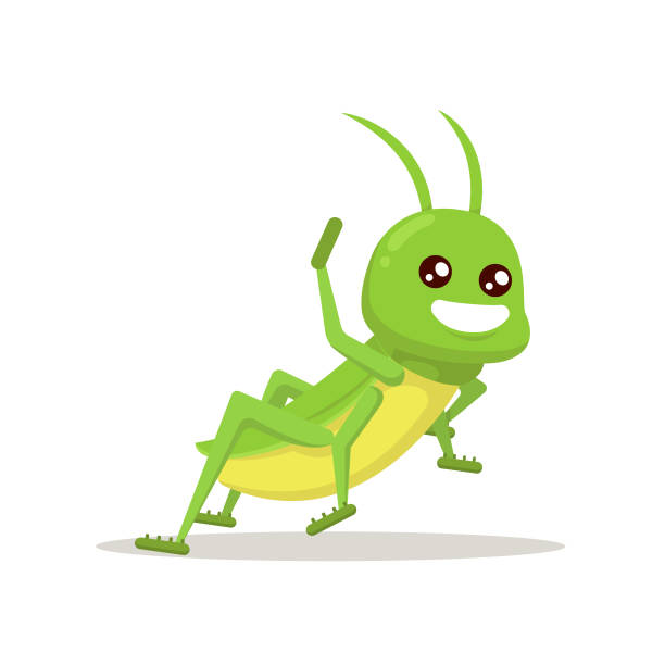 ilustrações, clipart, desenhos animados e ícones de ilustração de design de inseto mascote fofo de gafanhoto - grasshopper locust isolated multi colored
