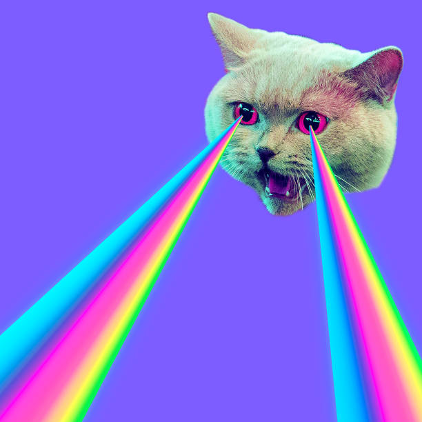 Evil Cat with rainbow lasers from eyes. Minimal collage fashion concept stock photo