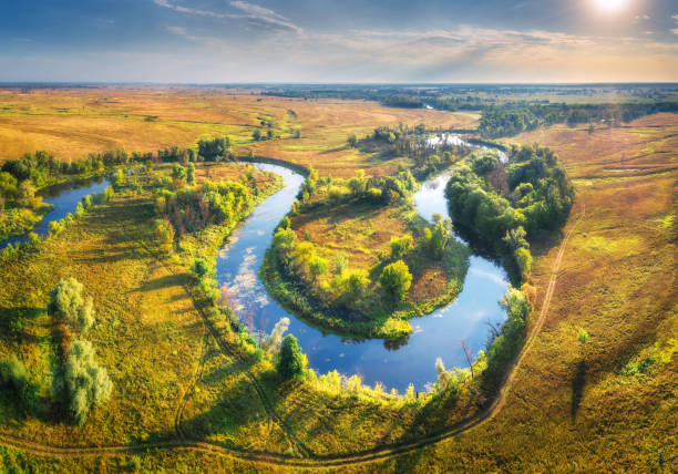 aerial view of beautiful curving river at sunrise in summer. view from air. turns of river, green meadows, grass and trees, blue sky, sun at dawn.  colorful aerial landscape of river coast. top view - coastline aerial view forest pond imagens e fotografias de stock