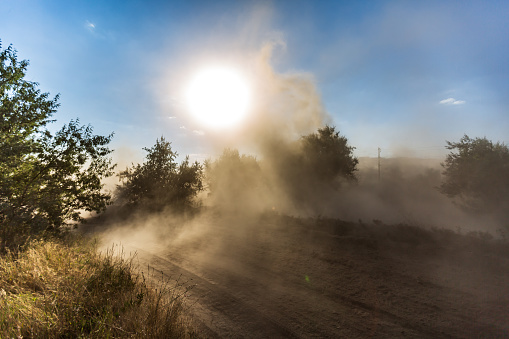 A dusty cloud on the sandy road between the trees, left behind by the vehicle, blocks the sun. Horizontal orientation. High quality photo.